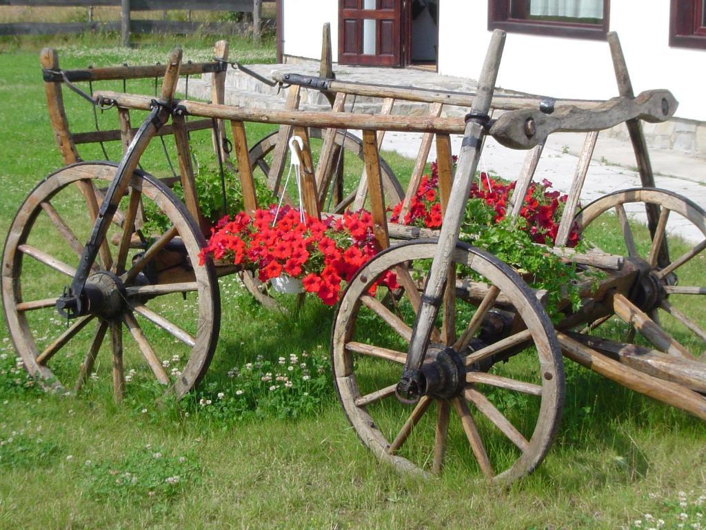 Serena Guesthouse Bran Bran  Exteriör bild